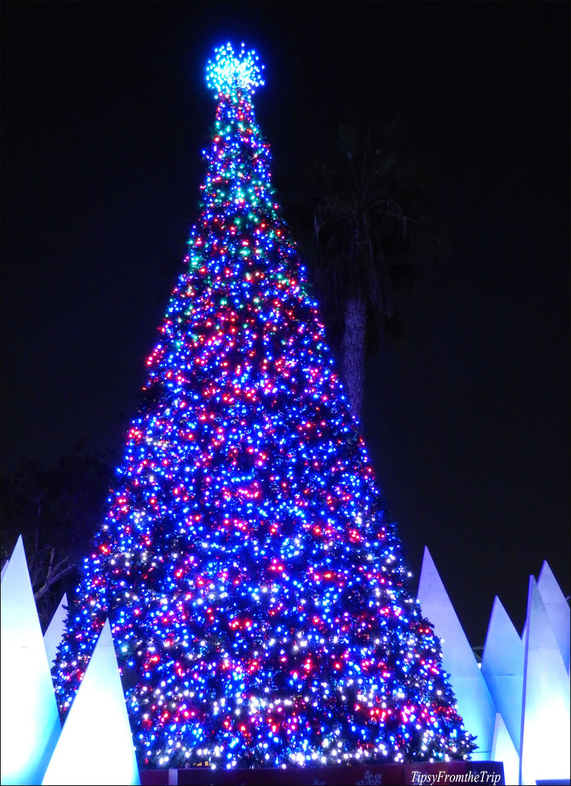 See SeaWorld at Christmastime Tipsy from the TRIP