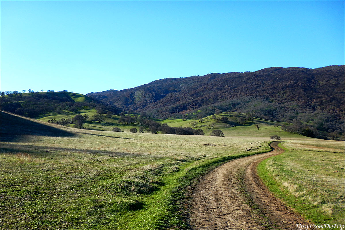 Bay Area Hikes: Round Valley Regional Preserve  Tipsy from the TRIP