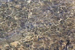 Clear Water, Lake Tahoe