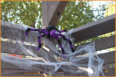 Spider - Halloween