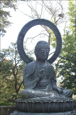 The Buddha at the garden 