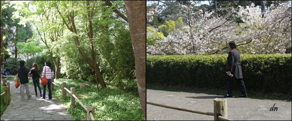 Seasonal Flora - another feature of Japanese landscapes.