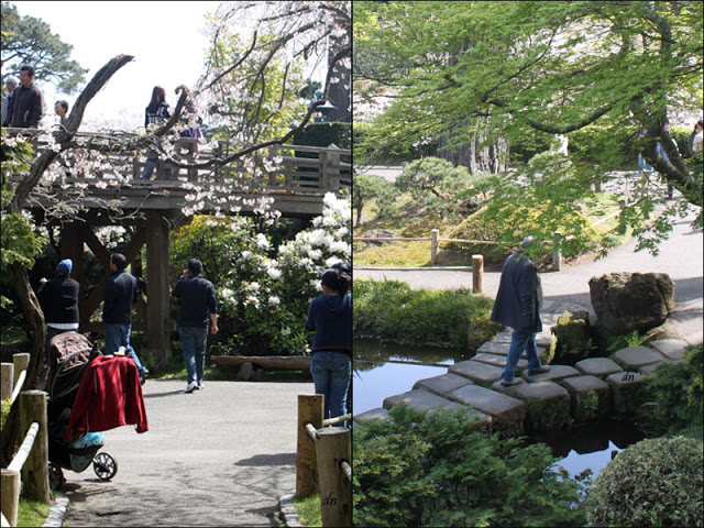 Bridges and Stepping Stones, Japanese Tea Garden 