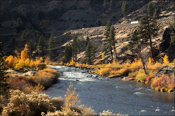 Truckee River in CA