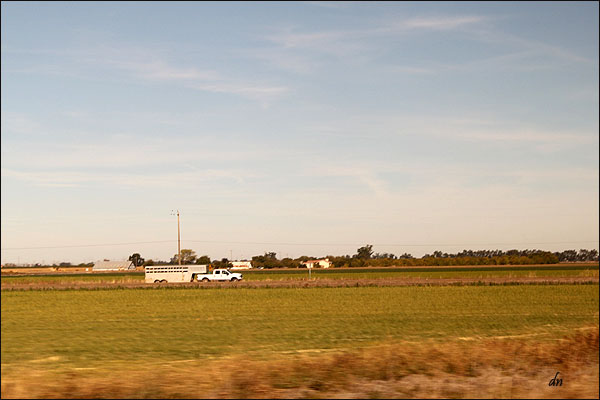 Yolo Basin, Ca