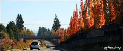 Fall - Pacific Northwest