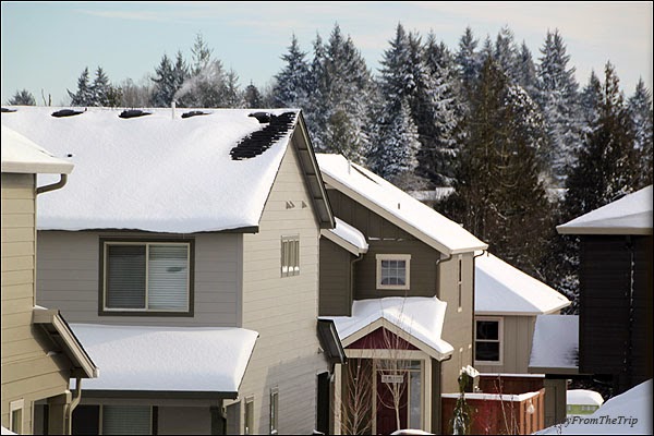 snow in Ridgefield