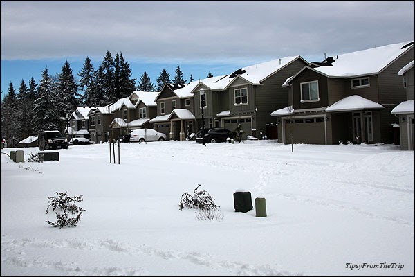 snow in Ridgefield