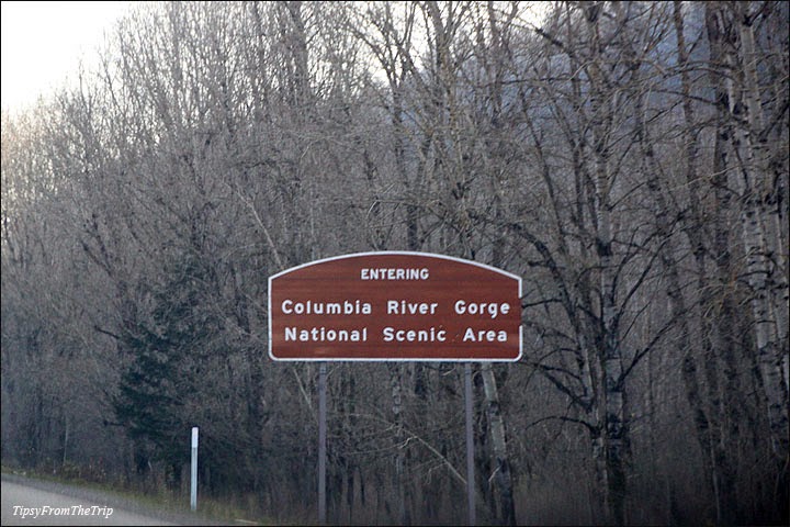 Columbia River Gorge 