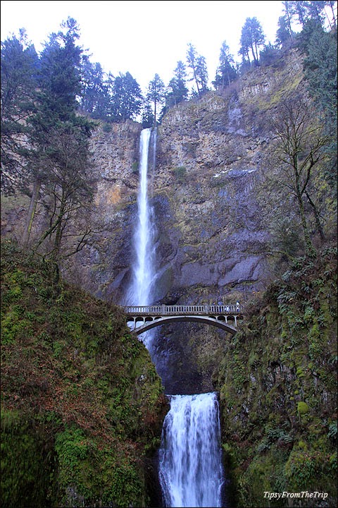 Multnomah Falls, Oregon 