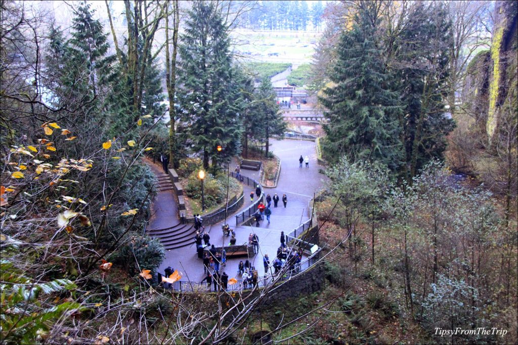 The View from the Bridge 