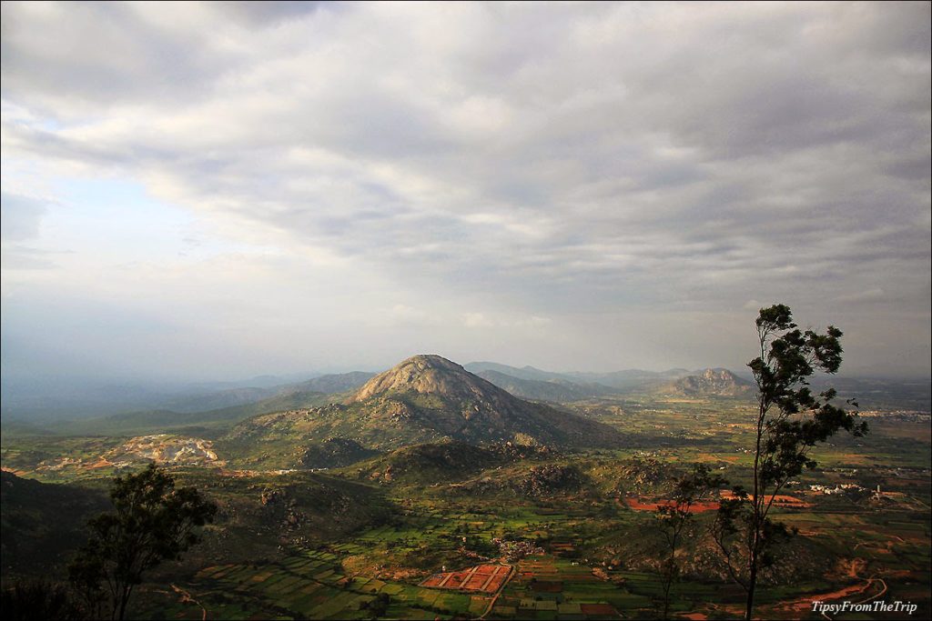 Views from Nandi Hills 