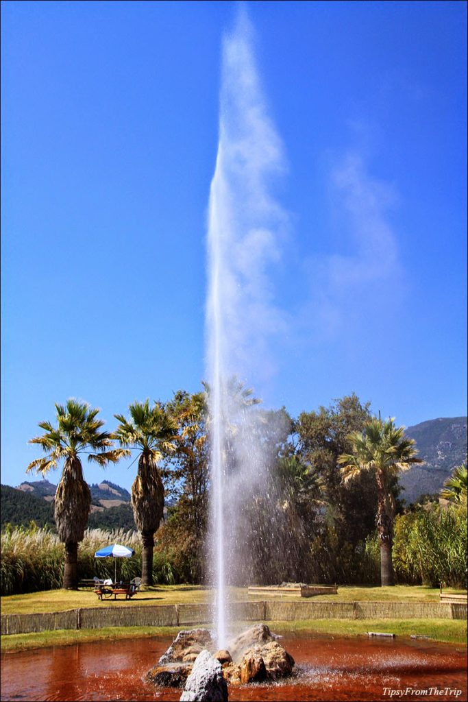 Geyser in Calistoga, Ca 