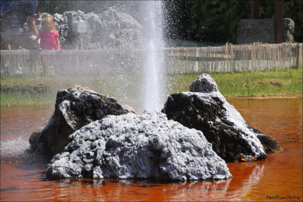 Geothermal area in Napa Valley 