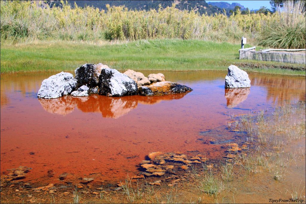 Hot spring, Calistoga, CA