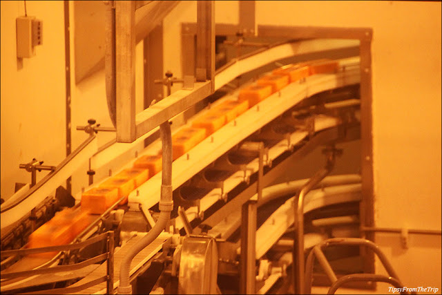 These must be Tillamook's 'Baby loaves.' - Tillamook Cheese Factory 