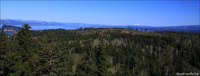 Volcano Views from the column