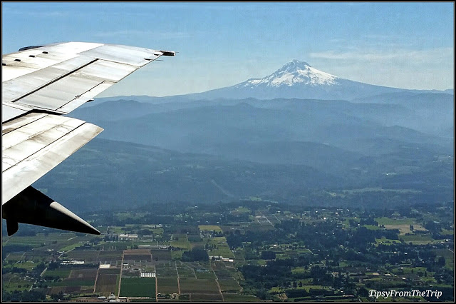 Mount Hood from a plane