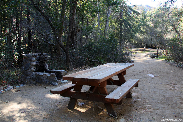 Sights from 'el sur grande' or Big Sur | Tipsy from the TRIP