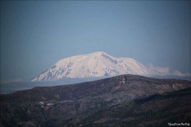 Mt. Adams