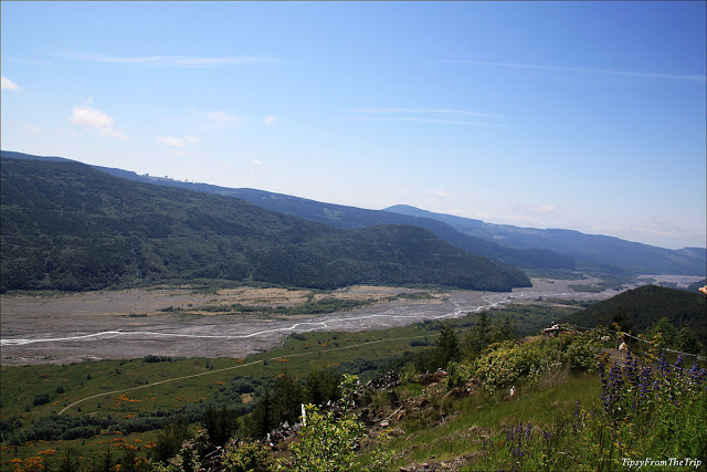 The path of devastation