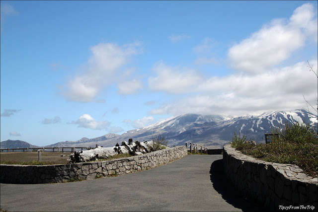 Mt. Helen's from Loowit Viewpoint