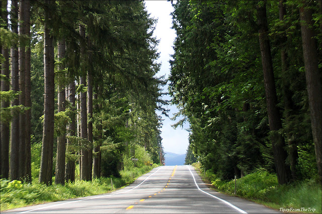 The road to Mt. Rainier