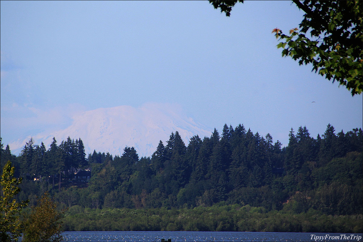 Mt. St. Helens from Vancouver Lake Regional Park, Vancouver, WA