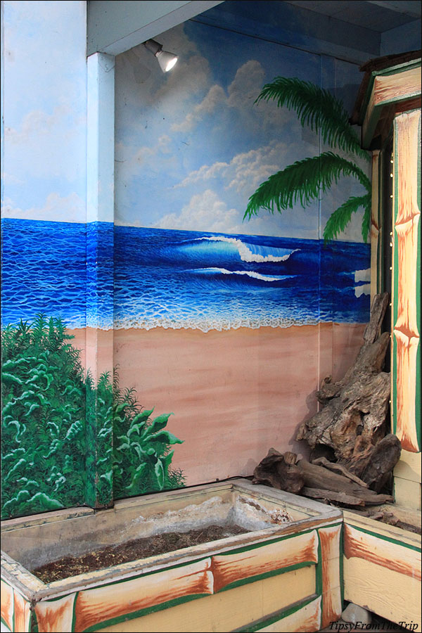 Hawaii/ Pacific Ocean mural in Capitola