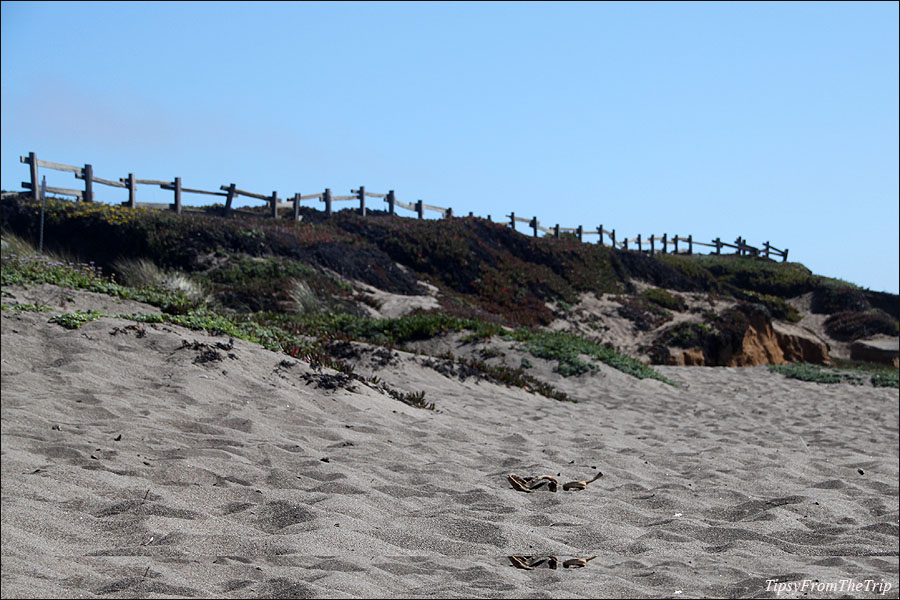 Point Reyes Beach North, California 
