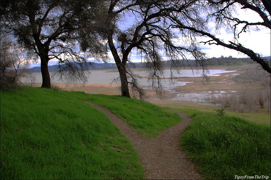 Folsom Lake from one of the trails. 