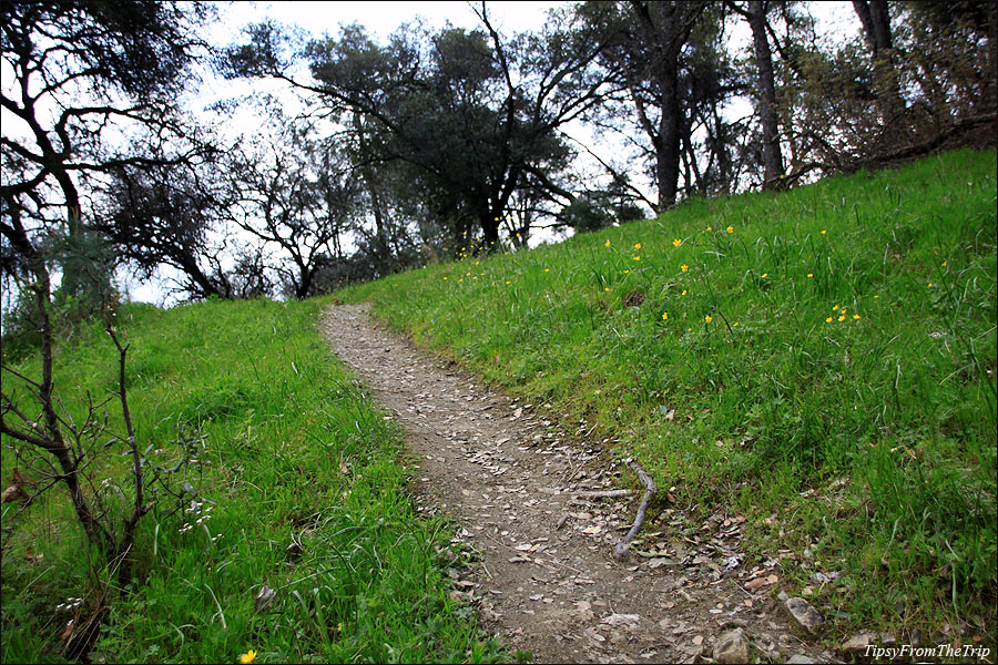 Trail near Folsom Lake, California