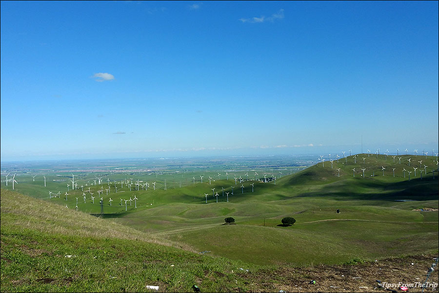 Viewpoint on Patterson Pass Road