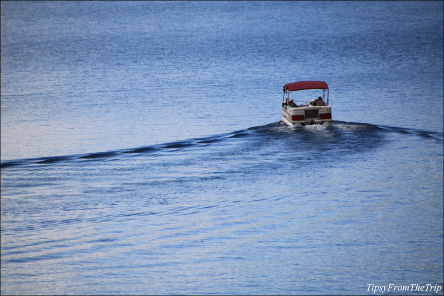 Shasta Lake in Summer