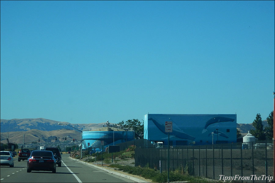 Whale murals, Livermore, California