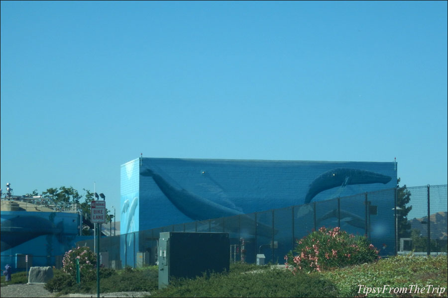 Whale murals on the tanks of Livermore Water Reclamation Plant, California