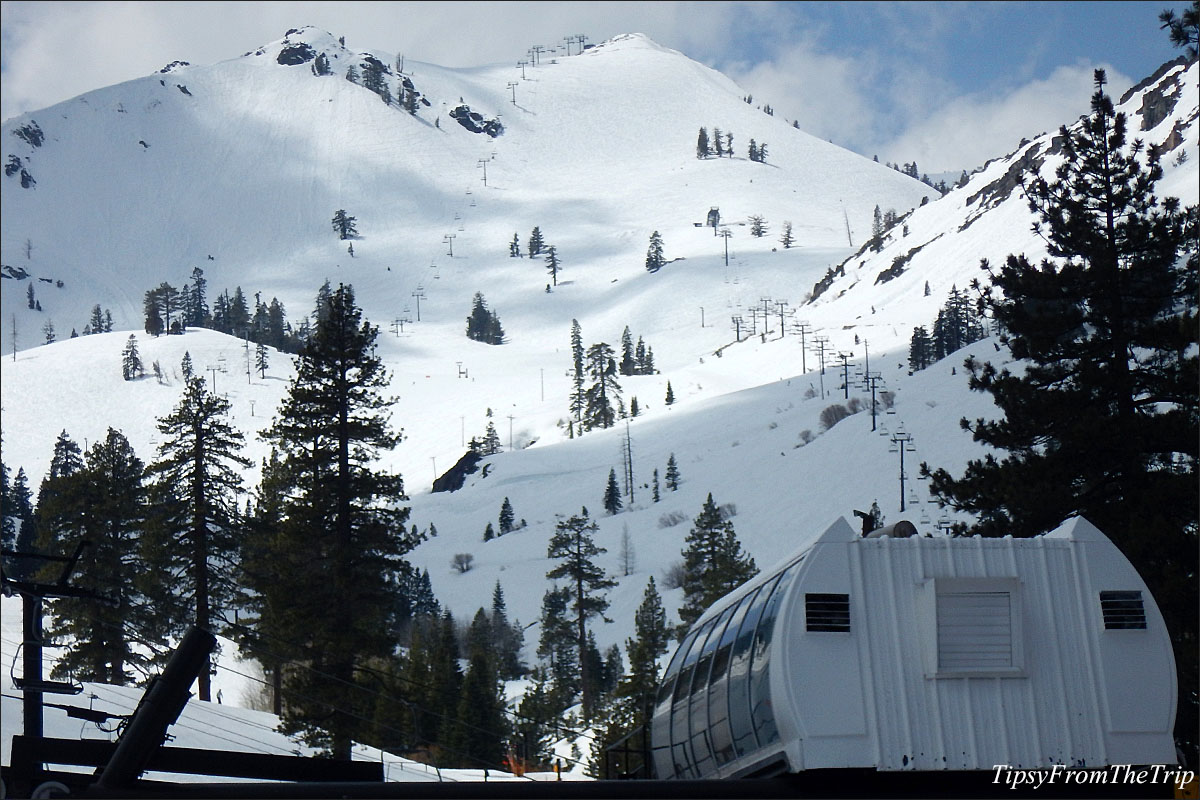 Tipsy from the trip to  Palisades Tahoe (Squaw Valley)