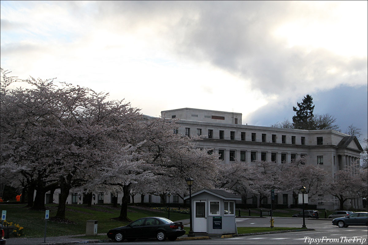 Washington State Capitol, Olympia. 