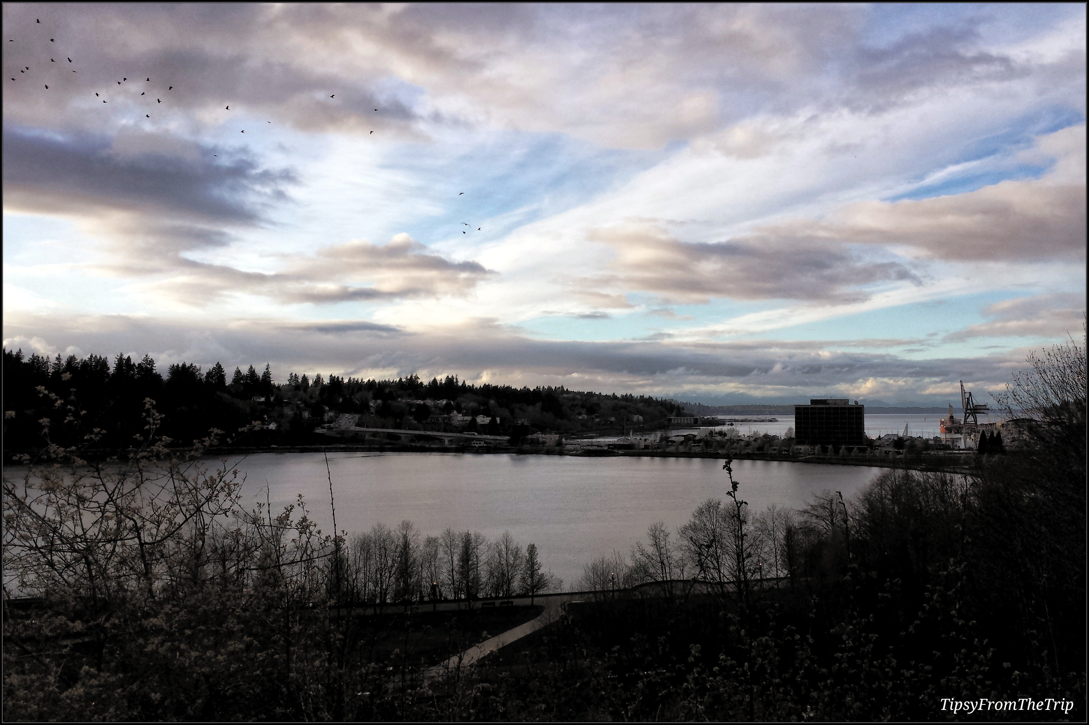 Capitol Lake, Olympia, Wa