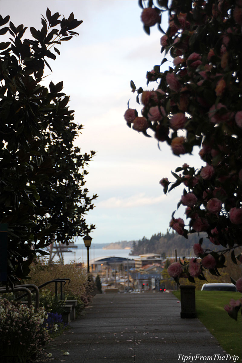 The path to the Capitol Lake, Olympia - Washington