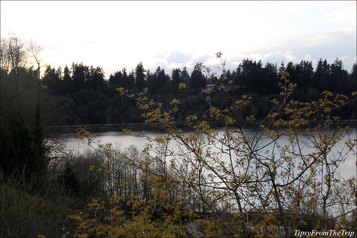 One evening at the Capitol Lake in Olympia. 