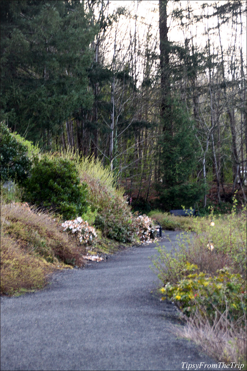 The path to the Capitol Lake.