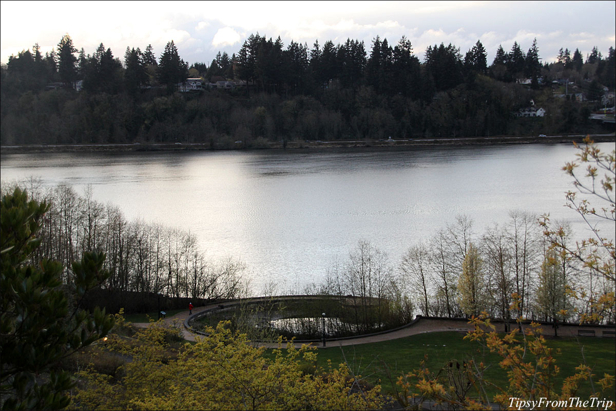 Capitol Lake, Olympia, WA