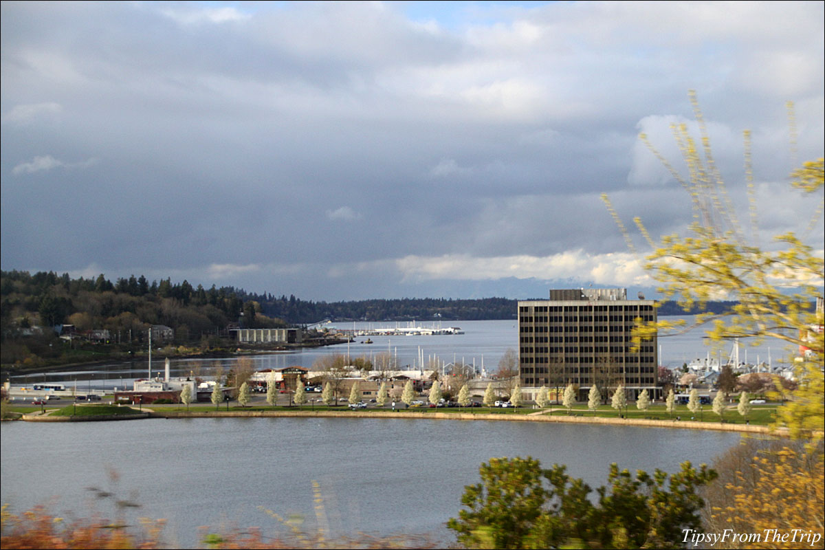 Capitol Lake, Olympia - Washington