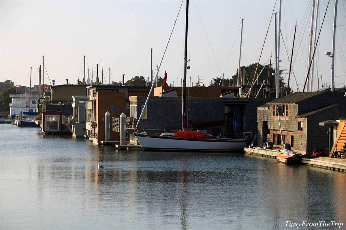 Berkeley Marina