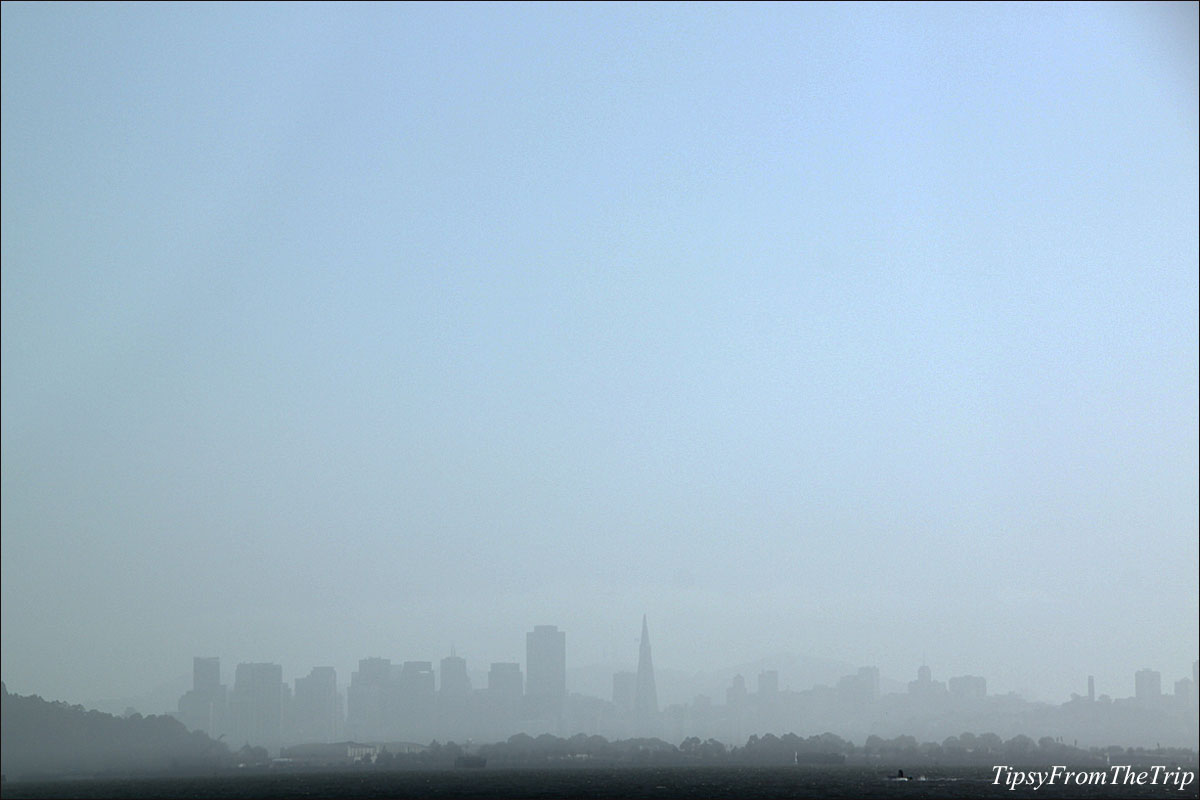 San Francisco Skyline from Berkeley Marina