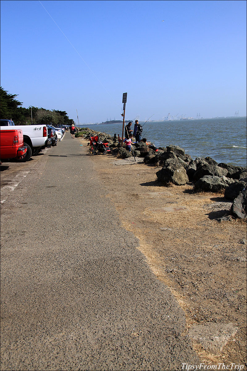 Berkeley Waterfront