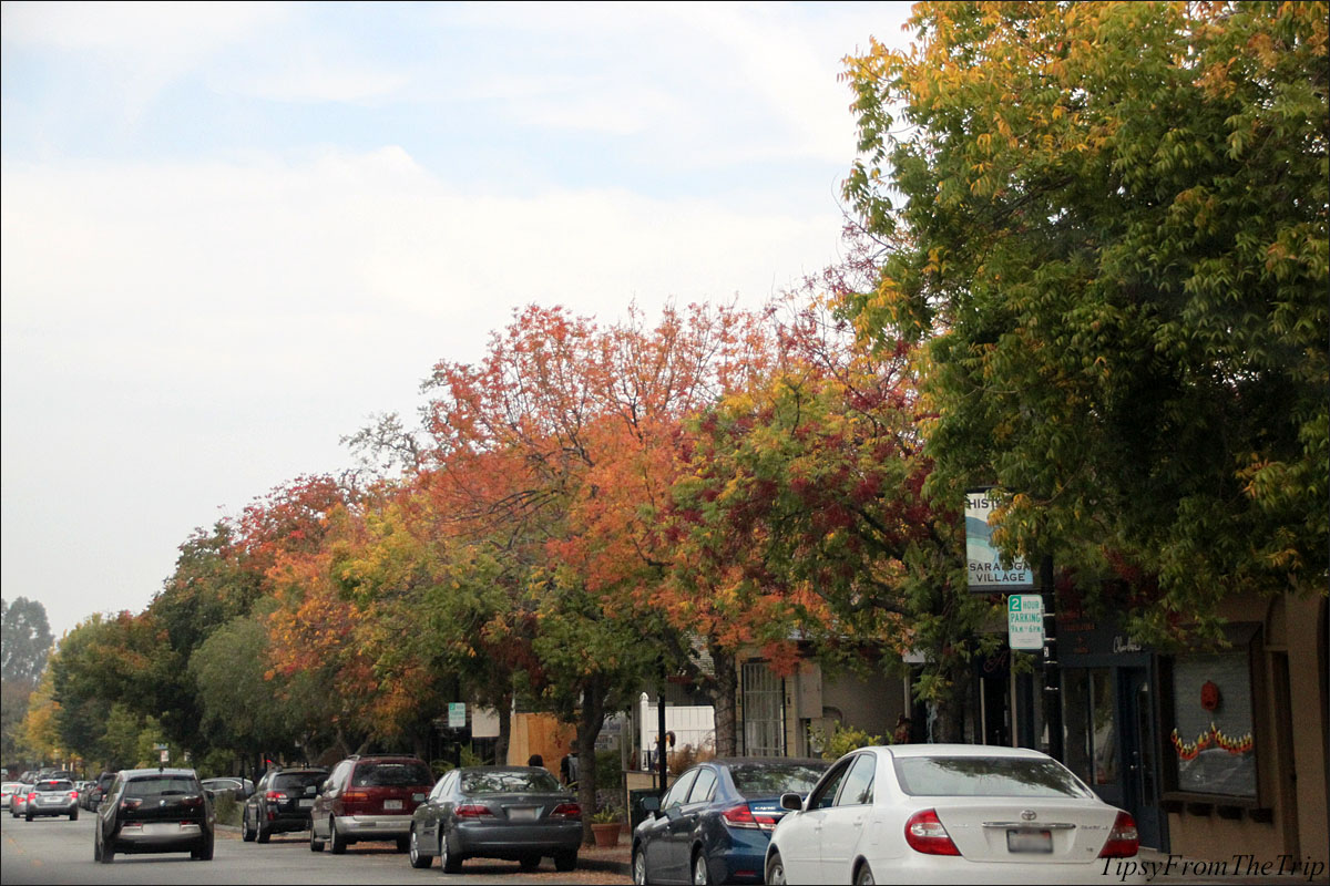 Saratoga in Autumn