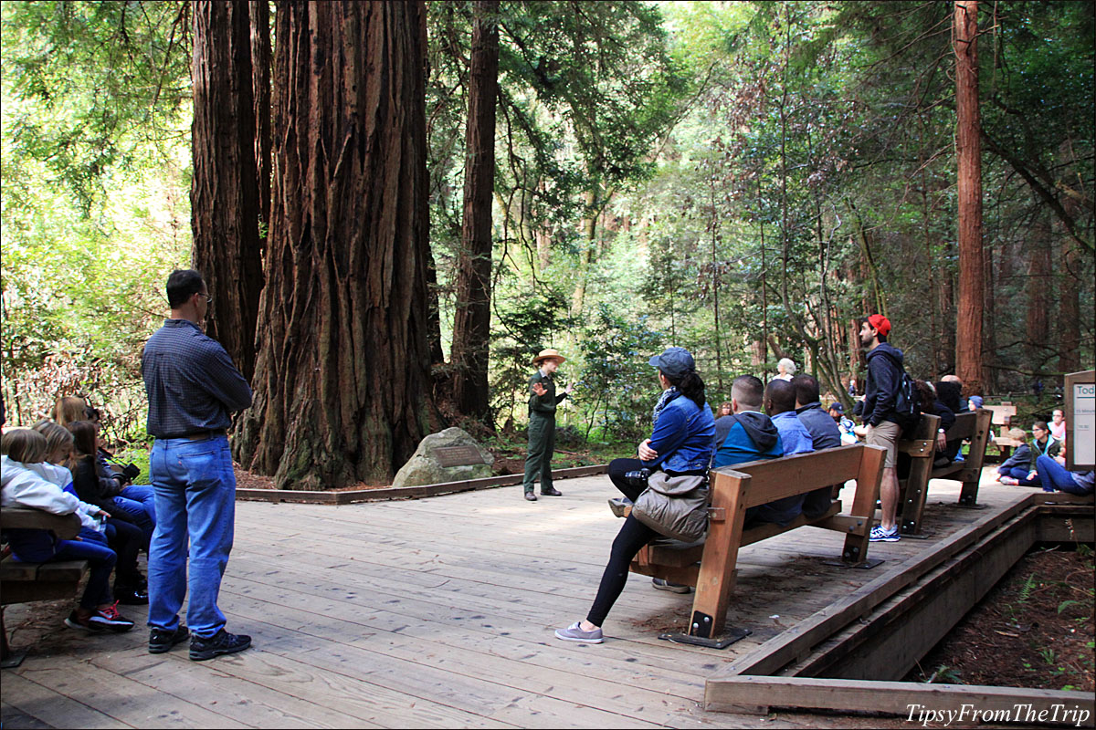 Muir Woods, California