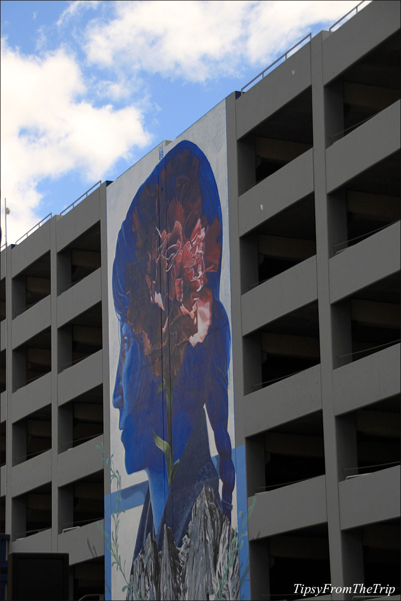 Parking garage murals - Blueprint of a Mother by Erik Burke